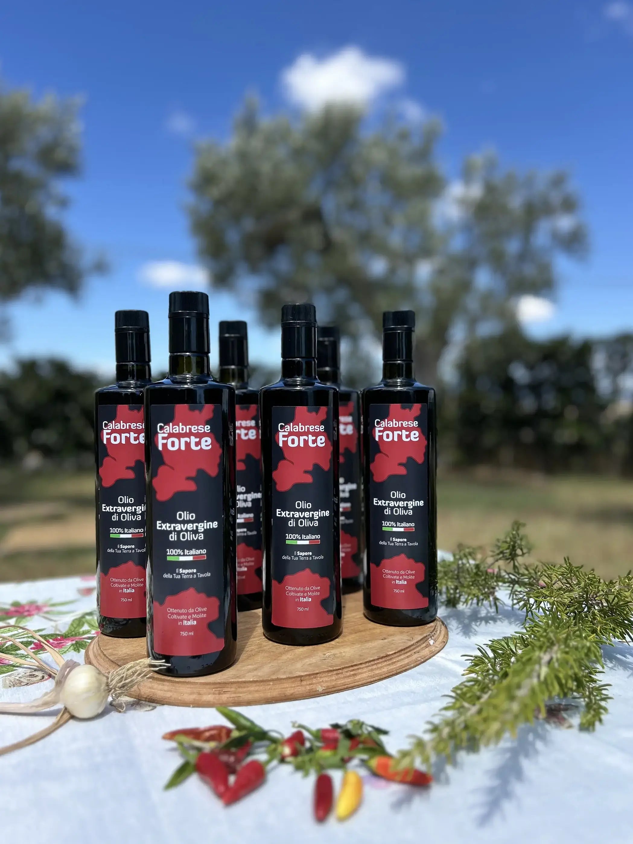 Olio E.V.O. - 750ml