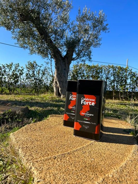 10L di Olio Extra Vergine D'Oliva